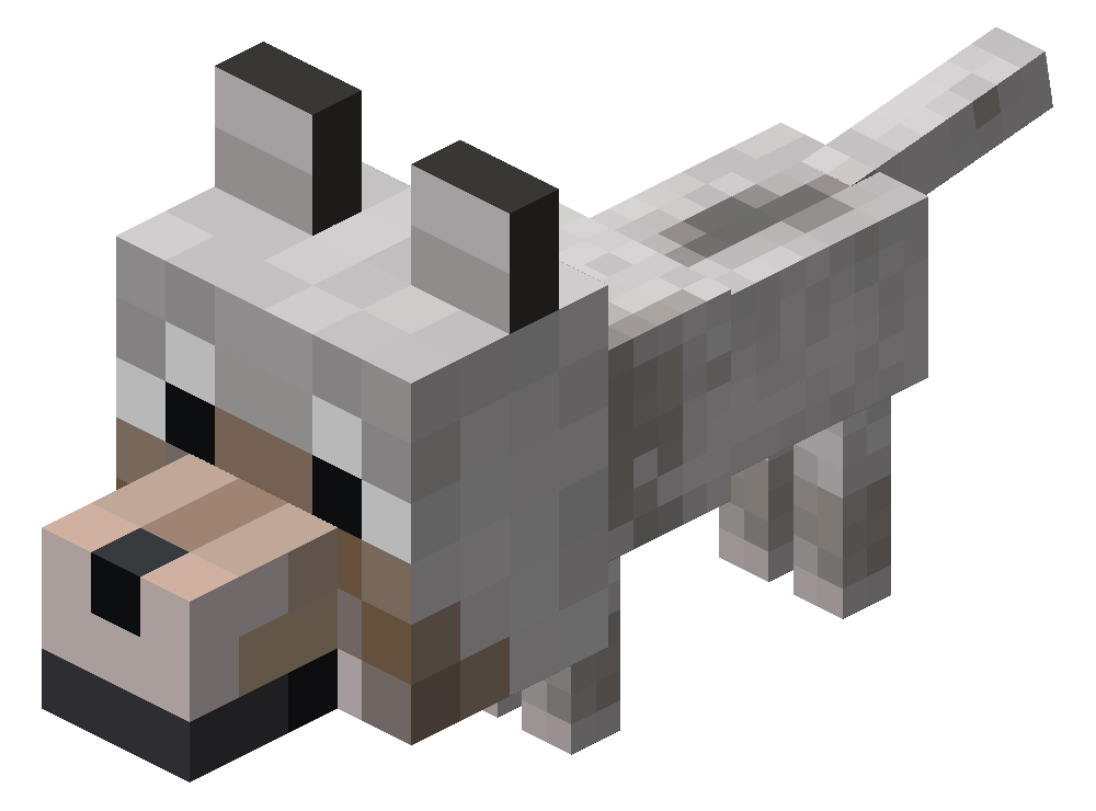 Perro